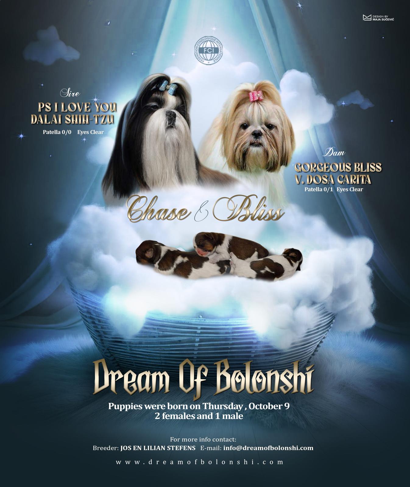 This image for Image Layouts addon